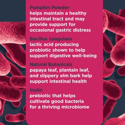 Probiotic Beef Flavored Soft Chews Digestive Supplement for Dogs, 90 count