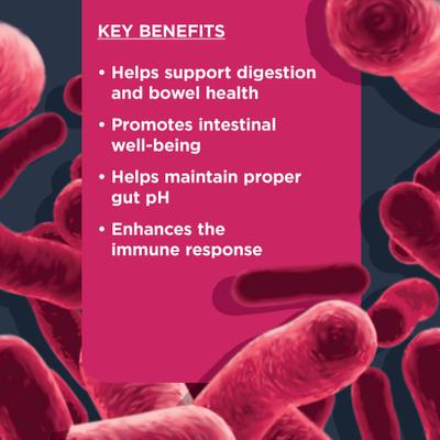 Probiotic Beef Flavored Soft Chews Digestive Supplement for Dogs, 90 count