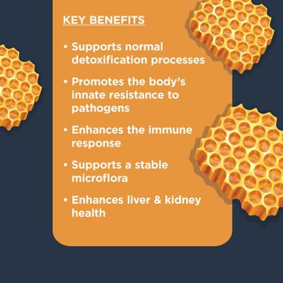 Beef Flavored Soft Chew Immune & Allergy Supplement for Dogs, 90 Count