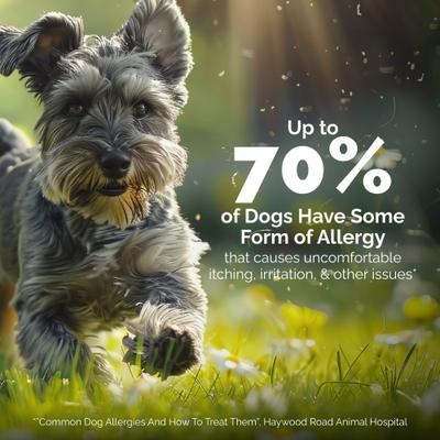 Oticbliss Medicated Hydrocortisone Ear Drops for Ear Infections for Dogs & Cats, 1.8-fl oz bottle