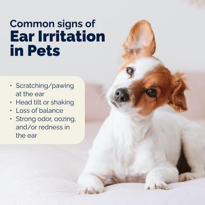 Oticbliss Medicated Hydrocortisone Ear Drops for Ear Infections for Dogs & Cats, 1.8-fl oz bottle