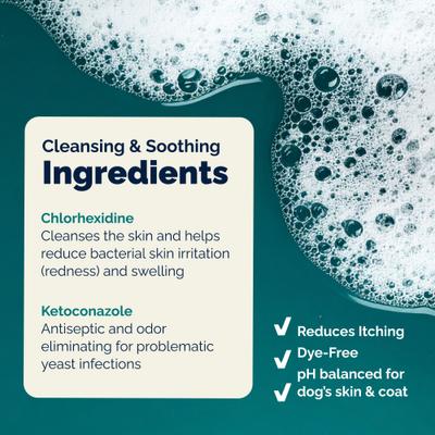 Dermabliss Medicated Anti-Bacterial & Anti-Fungal Chlorhexidine Infection Cat & Dog Shampoo, 16-fl oz bottle