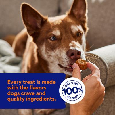 Soft-Baked Turkey Recipe Grain-Free Dog Treats (FORMERLY AMERICAN JOURNEY), 8-oz bag