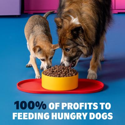 in the Belly Beef & Ancient Grains Recipe Dog Food, 15-lb bag