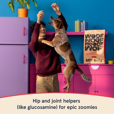 in the Belly Beef & Ancient Grains Recipe Dog Food, 15-lb bag