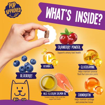 Multivitamin Chicken Flavor Soft Chew for Dogs, 120 count