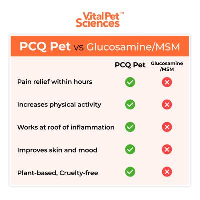 PCQ Pet Powder Pain Relief & Allergy Support Supplement for Dogs & Cats, 0.56-oz jar