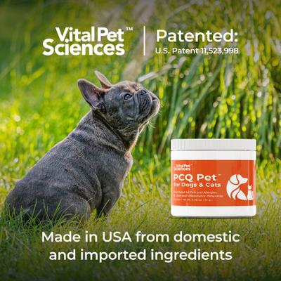 PCQ Pet Powder Pain Relief & Allergy Support Supplement for Dogs & Cats, 0.56-oz jar