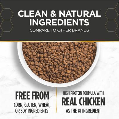 Prowess All-in-One Essentials Adult & Kitten Dry Cat Food, 6-lb bag