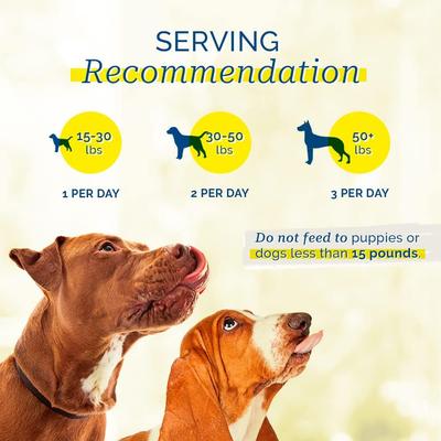 Chicken Dumbbells Rawhide Dog Treats, 1-lb jar