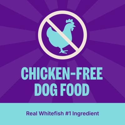 Complete Health Adult Whitefish & Sweet Potato Recipe Dry Dog Food, 15-lb bag