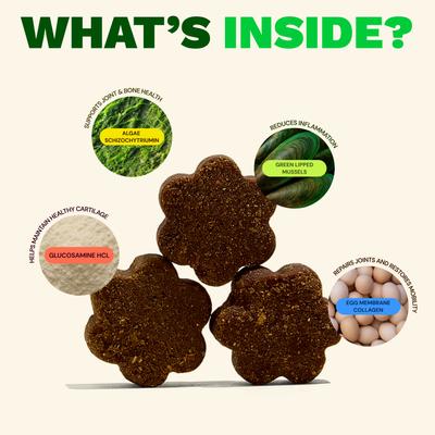 Joint+ Chicken Flavored Soft Chew Hip & Joint Mobility Health Supplement for Dogs, 90 count