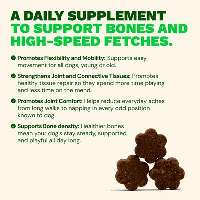 Joint+ Chicken Flavored Soft Chew Hip & Joint Mobility Health Supplement for Dogs, 90 count