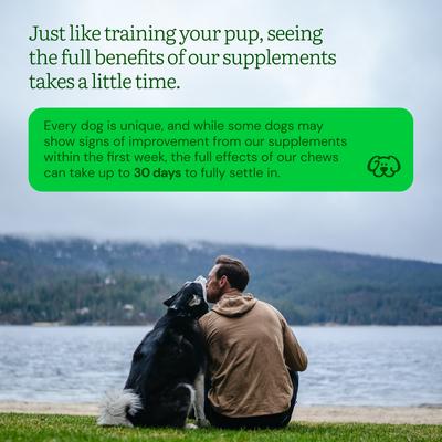 Calm+ Chicken Flavored Soft Chew Calming Stress & Anxiety Support Supplement for Dogs, 90 count