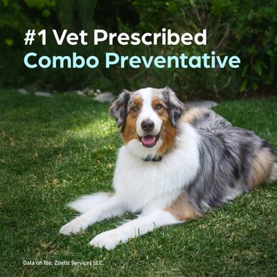 Chewable Tablet for Dogs, 88.1-132.0 lbs, (Brown Box), 6 Chewable Tablets (6-mos. supply)