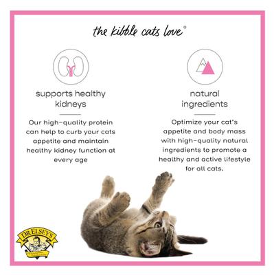 cleanprotein Pork Kibble Cat Dry Food, 2-lb bag