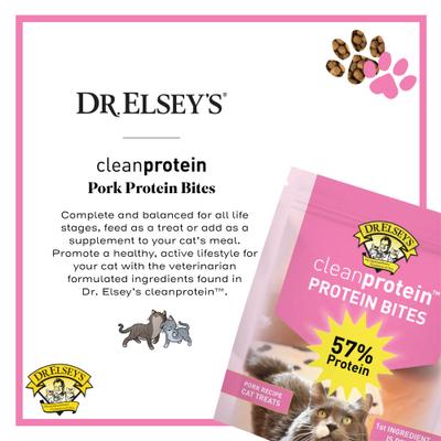 cleanprotein Protein Bites Pork Crunchy Cat Treats, 6-oz bag