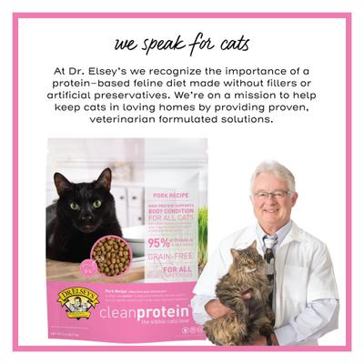 cleanprotein Pork Kibble Cat Dry Food, 2-lb bag