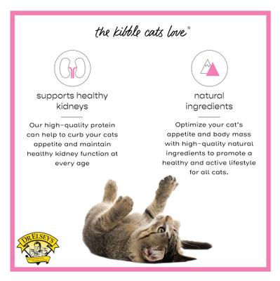 cleanprotein Protein Bites Pork Crunchy Cat Treats, 6-oz bag