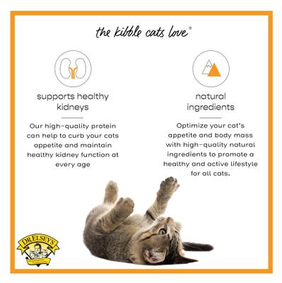 cleanprotein Protein Bites Turkey Crunchy Cat Treats, 6-oz bag