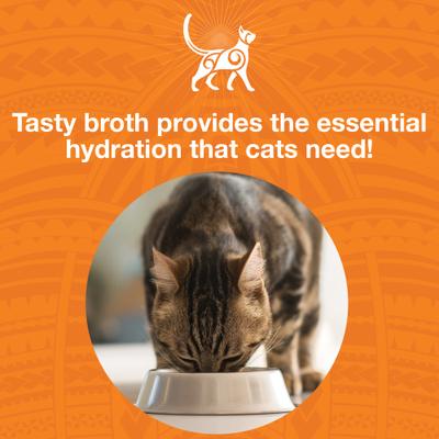 Pure Shreds Chicken Breast Entrée Grain-Free Wet Cat Food, 5.5-oz can, case of 12