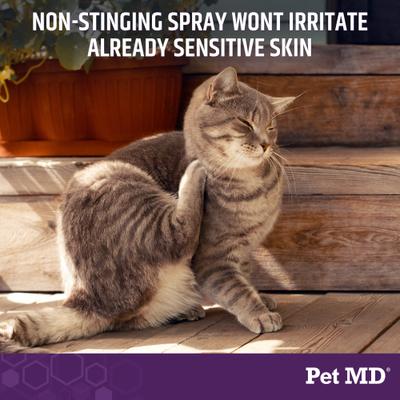 All-in-One Dog Derm Skin Care Treatment Spray, 8-oz bottle