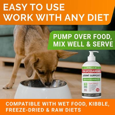 Liquid Glucosamine with Collagen Hip & Joint Supplement for Dogs, 16-fl oz bottle