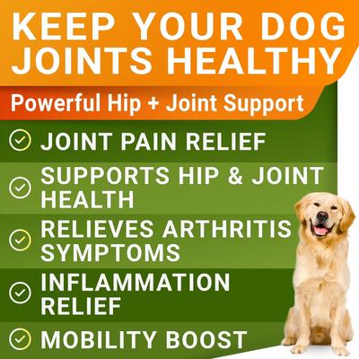 Liquid Glucosamine with Collagen Hip & Joint Supplement for Dogs, 16-fl oz bottle