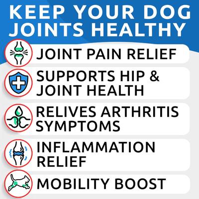 Liquid Glucosamine + Collagen Hip & Joint Supplement for Dogs, 16-fl oz bottle