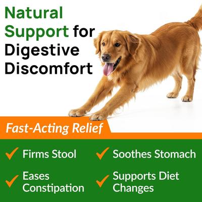 Pumpkin Powder Fiber Supplement for Dogs, 8-oz jar