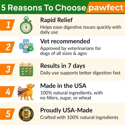 Pumpkin Powder Fiber Supplement for Dogs, 8-oz jar