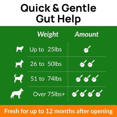 Pumpkin Powder Fiber Supplement for Dogs, 8-oz jar