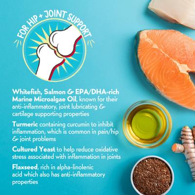 Necessities Freeze-Dried Salmon & Whitefish Recipe Hip & Joint Support Grain-Free Dog Food Topper, 5-oz jar