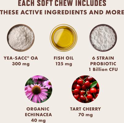 Duck Flavored Allergy Soft Chew Supplement for Dogs, 60 count