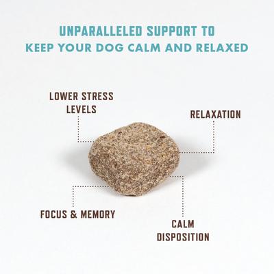 Duck Flavored Calming Soft Chew Supplement for Dogs, 60 count