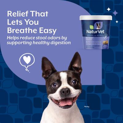 NaturVet, No Toot Stool & Bowel, masticables con hinojo y enzimas digestivas para perros, sabor tocino y pollo, 70 unidades