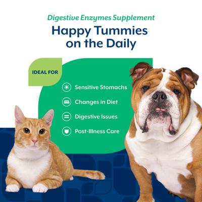 Digestive Enzymes Powder Supplement for Dogs & Cats, 10-oz bag