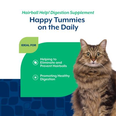 Hairball Help! Scoopable Tiny Bites Salmon Flavored Supplement for Cats, 5.5-oz bag