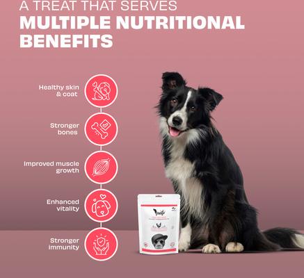 Woofur Chicken & Sweet Potato Air-Dried All Natural Grain-Free Jerky Dog Training Treat, 1.76-oz bag