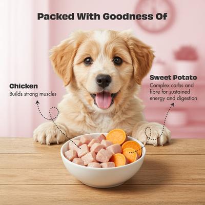 Woofur Chicken & Sweet Potato Air-Dried All Natural Grain-Free Jerky Dog Training Treat, 1.76-oz bag