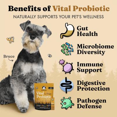 Probiotics Wolf Microbiome Powder Digestive Supplement for Dogs, 30 count