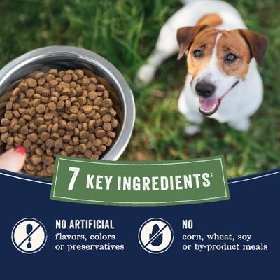 Pure Farm To Bowl Small Breed Wild-Caught Salmon & Lentil Recipe Dry Dog Food, 4-lb bag