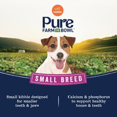 Pure Farm To Bowl Small Breed Wild-Caught Salmon & Lentil Recipe Dry Dog Food, 4-lb bag