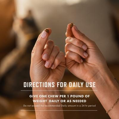 Chicken Flavored Allergy Chew Supplement for Cats, 3.7-oz bag