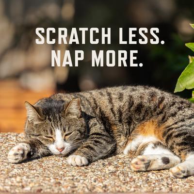 Chicken Flavored Allergy Chew Supplement for Cats, 3.7-oz bag