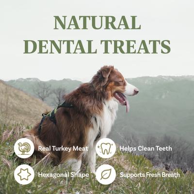 Natural Real Turkey Meat Adult Dental Dog Treats, 2.2-lb bag
