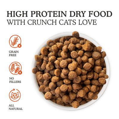 Cat Person by Weruva Chicken & Turkey Grain-Free Dry Cat Food, 4-lb bag