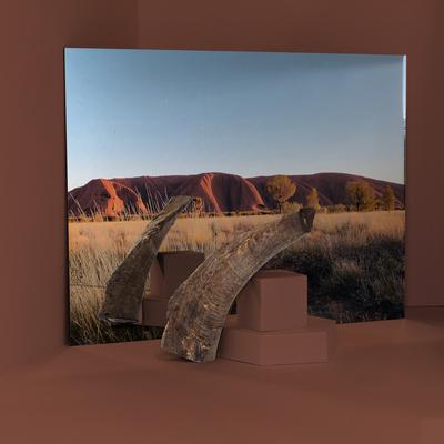 Billy Goat Horn Dog Bones