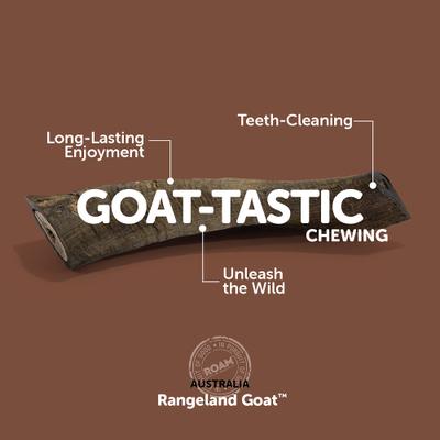 Billy Goat Horn Dog Bones