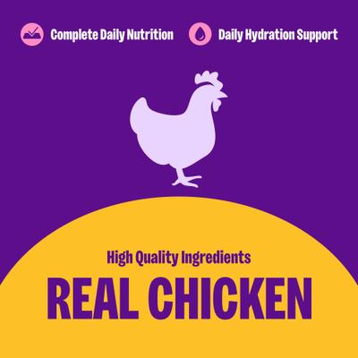 Complete Health Pate Chicken Entree Grain-Free Natural Canned Cat Food, 5.5-oz, case of 24